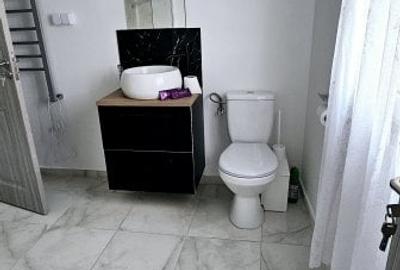 Penthouse de inchiriat-Marasti(Cinema Marasti) - 6