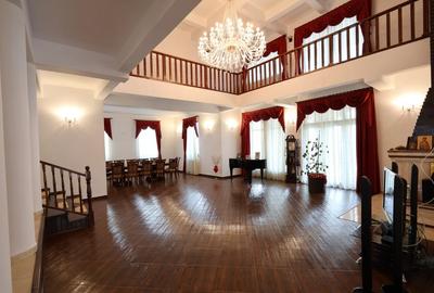 Proprietate spatioasa cu potential turistic - Iasi - 10