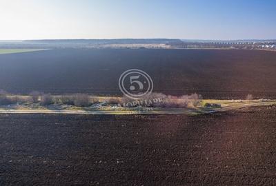 Oportunitate de investitie, teren intravilan in Tamasi-Corbeanca, 22 Euro/mp - 5