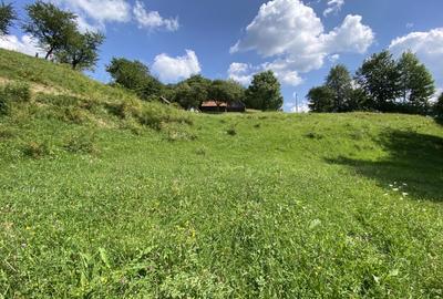 Teren intravilan de vanzare, cu vedere catre Castelul Bran - 2