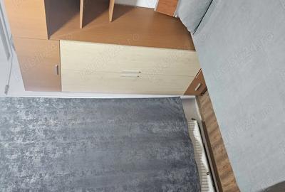 Apartament de inchiriat in regim hotelier ultracentral - 6