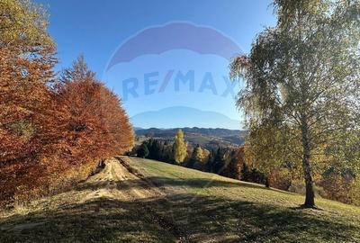 Oportunitate de investiție ! Teren de vis în Pestera - 125.370 mp - 28