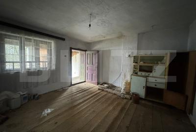 Casa cu 2 camere in Densus, 20 km de Manastirea Prinslop - 4