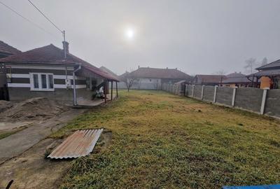 Casă cu 1 camere cu Teren 593 Mp în Simeria - 4