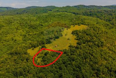 COMISION 0%  Teren 6,572 mp/Curti constructii/ Intravilan - 1