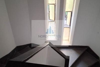 Piata 1 Mai, parcul Kiseleff, ambasade, vila interbelica - 9