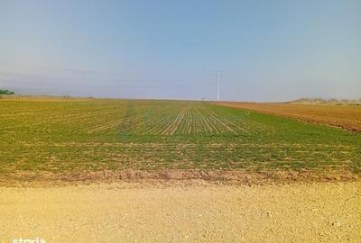 Spațiu comercial, în Biharia - 3