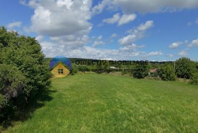 Teren intravilan de vanzare Unghi- jud. Neamt - 6