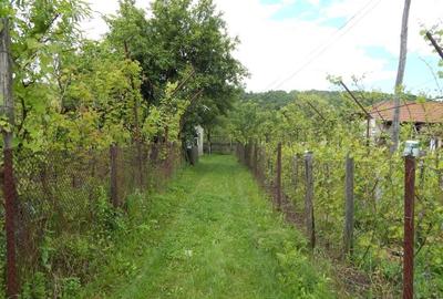 Casă cu 3 camere cu Teren 3850 Mp în Răchițele de Jos - 2