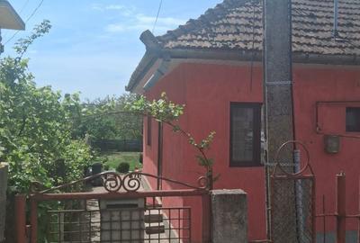 Casă cu 2 camere în Central