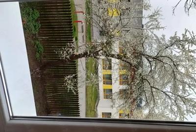 Apartament 2 camere de vanzare Apartament 2 camere de vanzare - 1