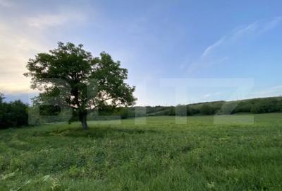 Teren de 21450 mp, în Turda - 1