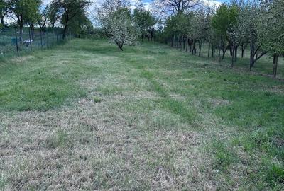 Casă cu Teren 1300 Mp în Central - 2