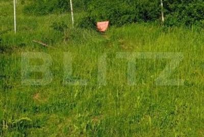 Teren de 490 mp, în Bucium - 2