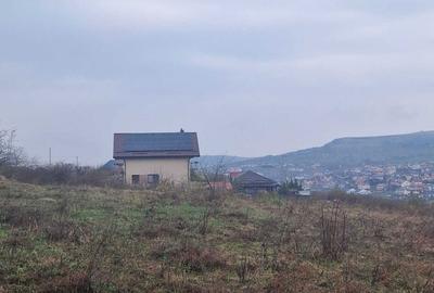 Spațiu comercial, în Chinteni - 3