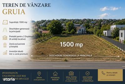 Casă cu 3 camere în Gruia - 1