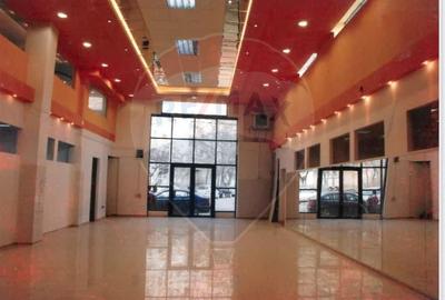 Spațiu comercial, de 500 mp, în Teiul Doamnei - 5