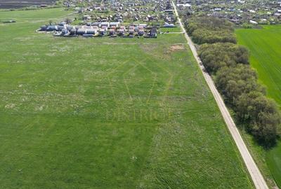 Teren intravilan 1490mp | SAD | Covaci - 4