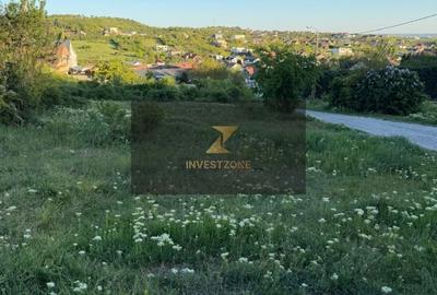 Spațiu comercial, în Oncea