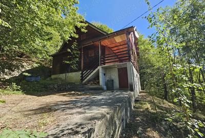 Cabana de vanzare Lep?a, jud. Vrancea - Cheile Ti?i?ei - 1