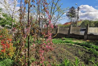 Garsonieră în Central