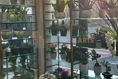 Afacere la cheie - Florarie cu traditie, pozitionata central - 6