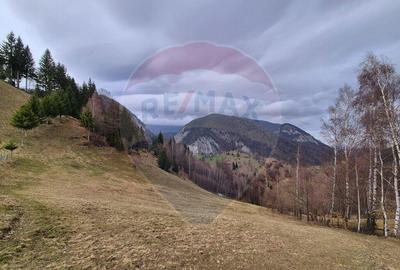 Comision 0 %/ Teren extravilan 13,570mp Pestera / Priveli... - 6