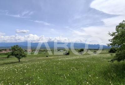 COMISION 0% Teren intravilan de vanzare 4460 mp Bradu Sibiu - 12