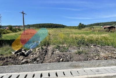 Teren Construcții intravilan de 750 mp, în Chinteni - 2