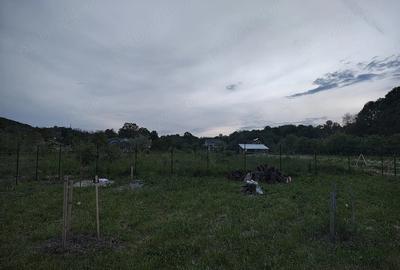 Teren de 500 mp, în Băiculești - 5