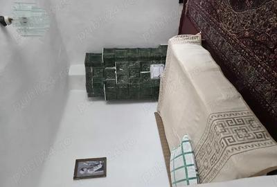 Casa batraneasca din caramida Casa batraneasca din caramida - 6