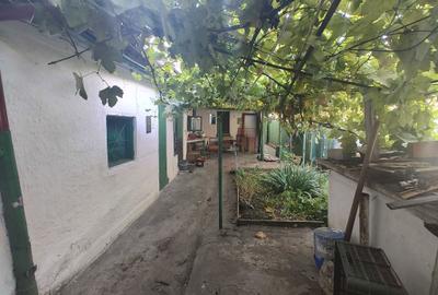 Casă cu 4 camere în Coiciu - 6