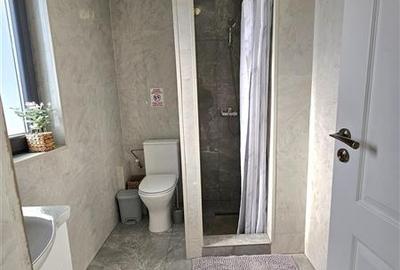 Casa Impresionanta Cu Finisaje si Mobilier Premium, Navodari Casa Impresionanta Cu Finisaje si Mobilier Premium, Navodari - 39