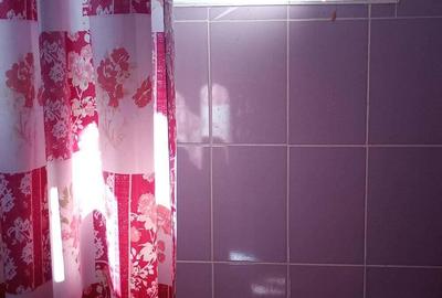 Apartament decomandat Precista - 1