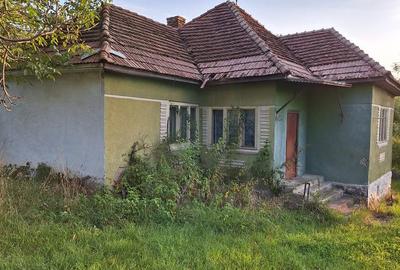 Teren de 29463 mp, în Vătava - 10