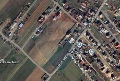 Teren 561mp Adunatii-Copaceni / Strada Troitei - 2