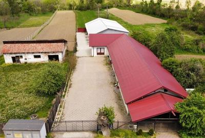 Spațiu comercial, de 469 mp, în Central - 6