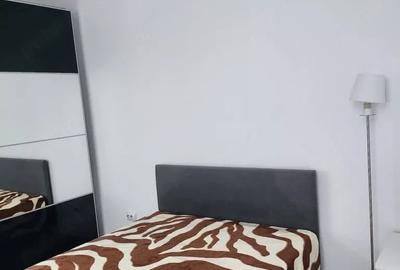 Garsonieră decomandată, mobilată în Theodor Pallady - 3