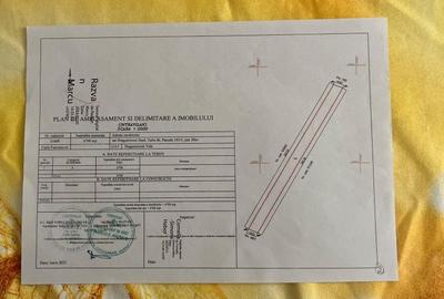 Teren de 6700 mp, în Dragomirești-Deal - 3