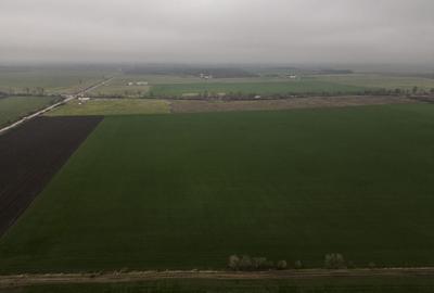 Teren 84000 mp la 20 km de Arad, la DN79 - 2