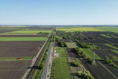 Inchiriere platforma teren 4.000 mp Curtici - 7