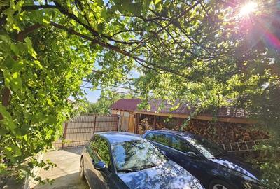 Vila superba de vanzare in Vintila Voda, Buzau D+P+1 si anexe - 11
