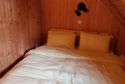 Cabana vacanta 4 dormitoare Azuga, Prahova - 11