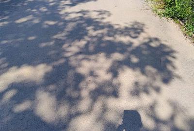 Spațiu comercial, în Nord - 5