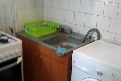 Micsunica, garsonieras mobilata, parter, 250 euro - 7