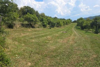 Teren de 3000 mp, în Exterior Vest - 3