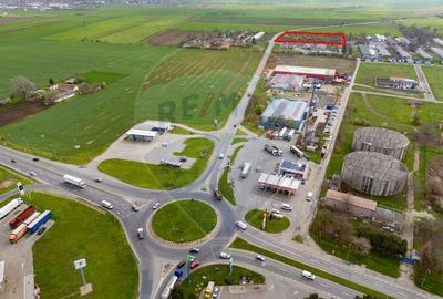 Teren 1,5ha intravilan curti constructii de vanzare Centura Arad Nord - 2