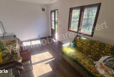 Casă cu 3 camere cu Teren 9815 Mp în Valea Iașului - 2