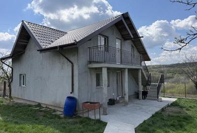 Casă cu Teren 1640 Mp în Cărbunari - 4