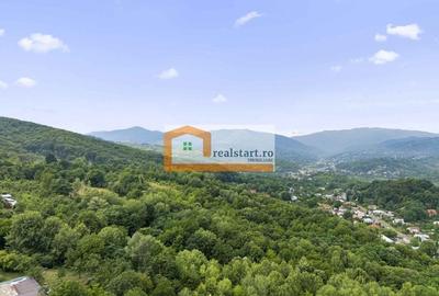 Breaza, Vedere Padure, 5000mp teren, D+P+1E+M, semineu, foisor - 39